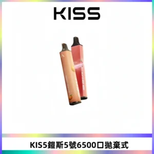KIS5鎧斯5號一次性6500口磁吸式拋棄式電子煙#自由混搭#